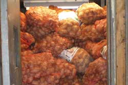 Taters